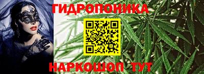 дурь Майкоп